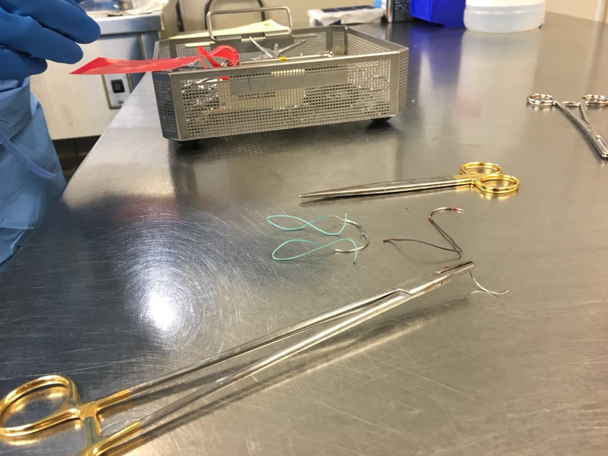 Why Hands-On Training Still Wins in Sterile Processing Education